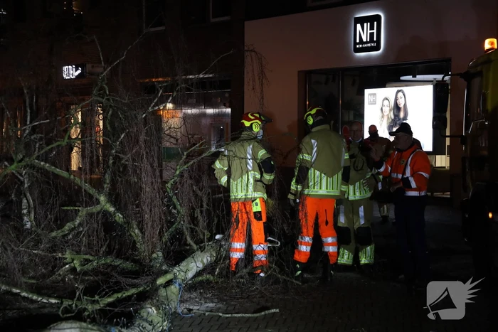 Instabiele boom omgezaagd door brandweer