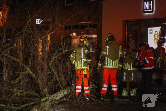 Instabiele boom omgezaagd door brandweer
