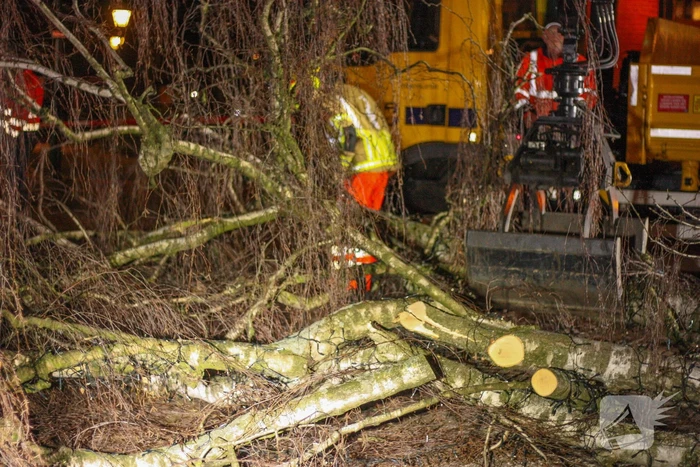 Instabiele boom omgezaagd door brandweer