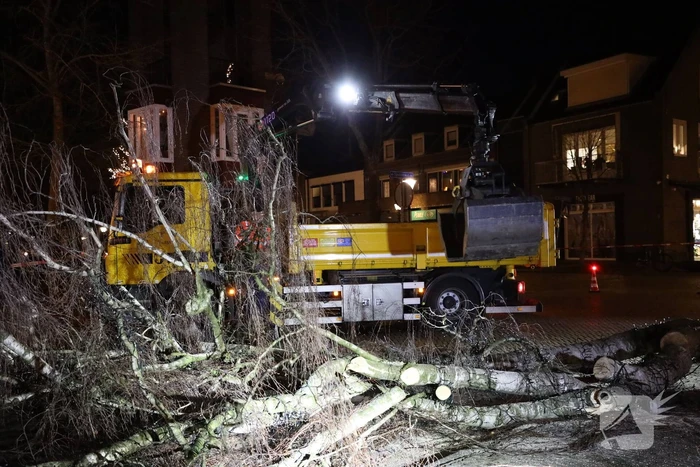 Instabiele boom omgezaagd door brandweer