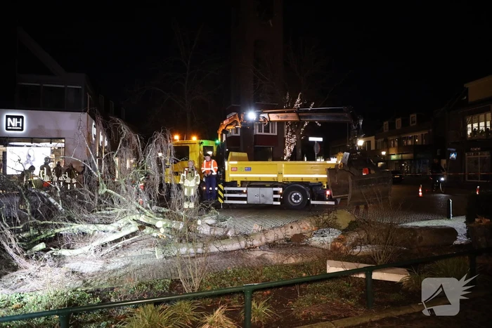 Instabiele boom omgezaagd door brandweer