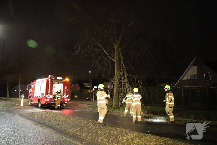 Brandweer verwijdert afgebroken takken