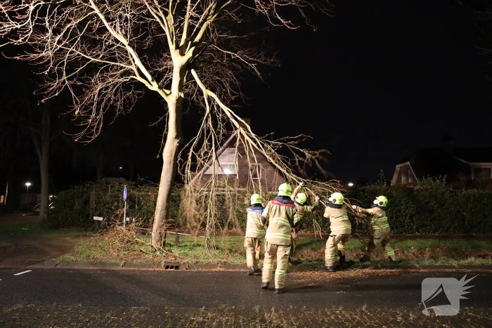 Brandweer verwijdert afgebroken takken