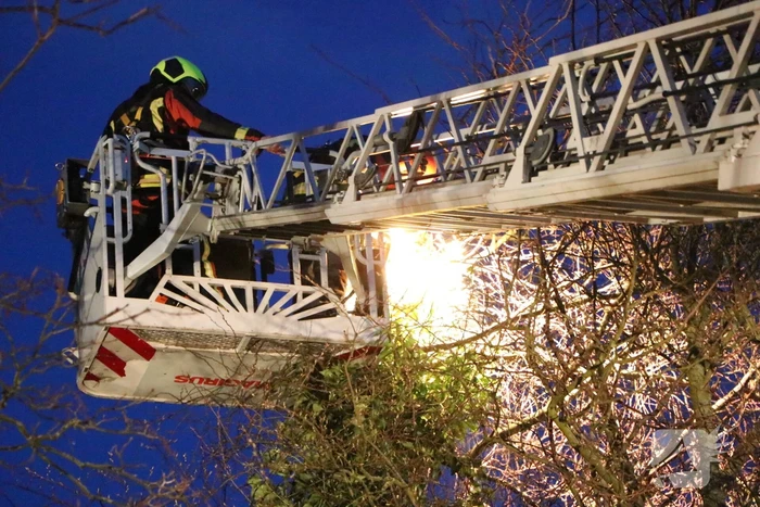 natuur van brouchovenlaan oegstgeest