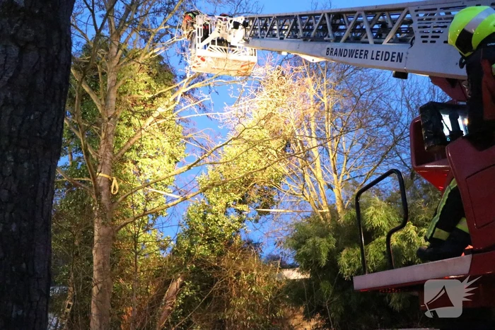 Brandweer zet boom vast met spanbanden