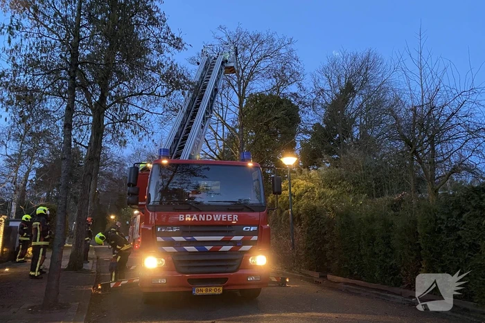 Brandweer zet boom vast met spanbanden
