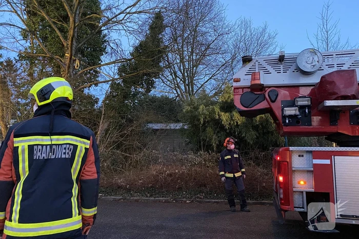 Brandweer zet boom vast met spanbanden