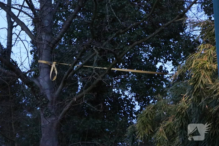 Brandweer zet boom vast met spanbanden
