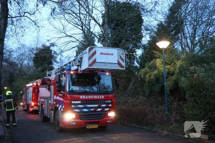 Brandweer zet boom vast met spanbanden
