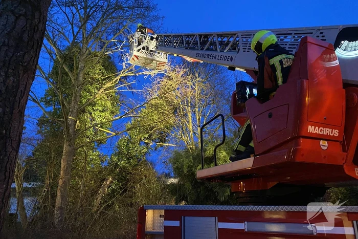 Brandweer zet boom vast met spanbanden