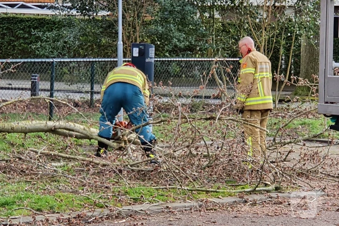 Brandweer zaagt gevaarlijk hangende tak uit boom