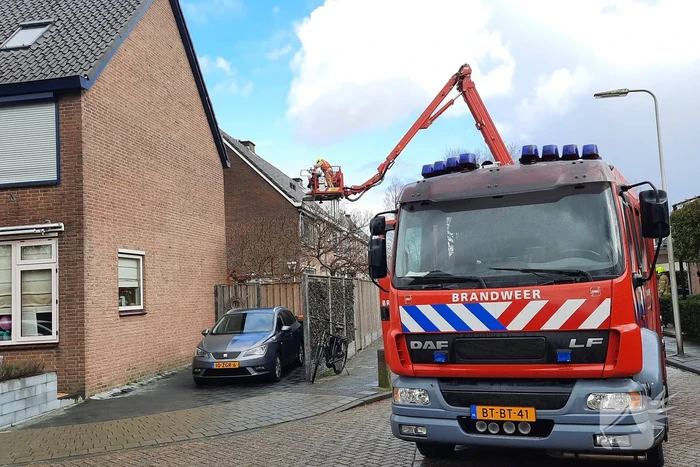 natuur jan steenstraat krimpen aan den ijssel