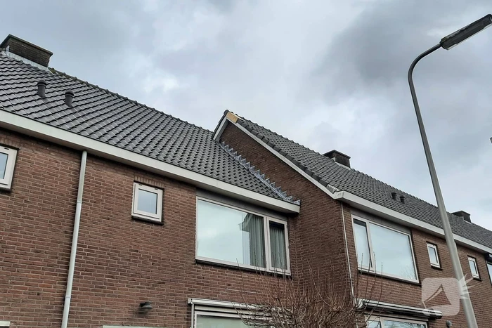 natuur jacob jordaensstraat krimpen aan den ijssel