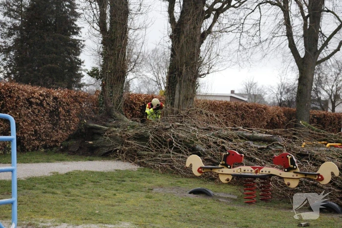 Grote boom valt over weg