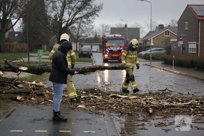 Grote boom valt over weg