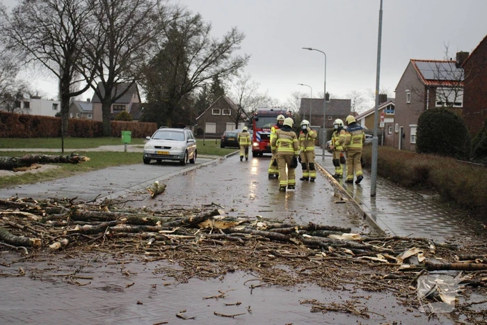 Grote boom valt over weg