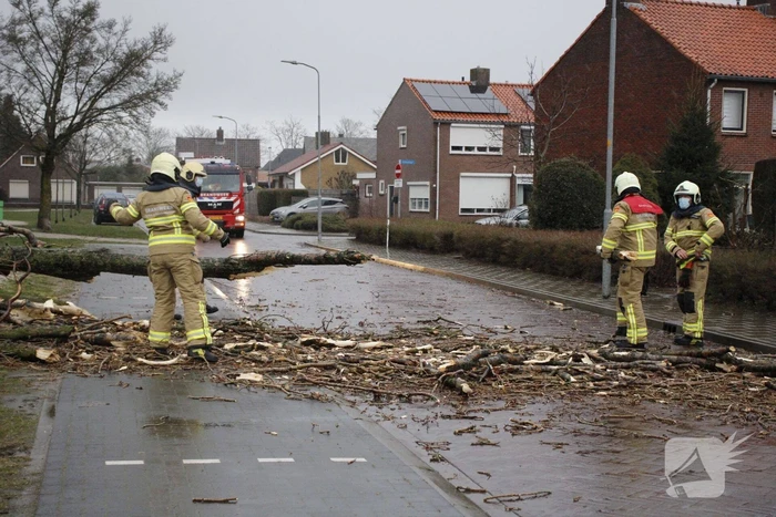 Grote boom valt over weg