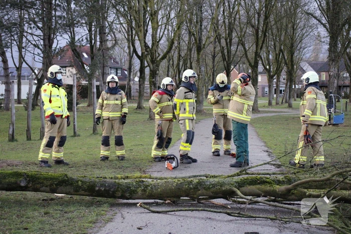 Brandweer zaagt boom in stukken