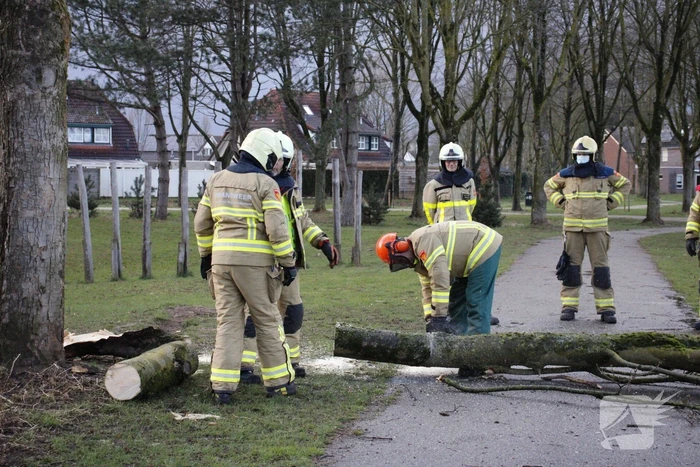 Brandweer zaagt boom in stukken