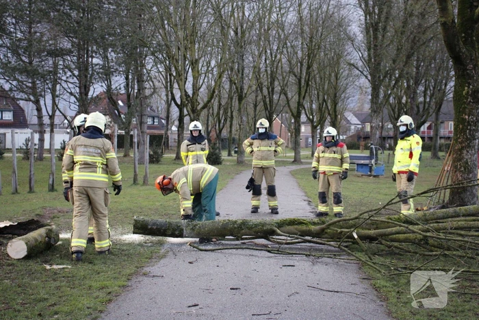 Brandweer zaagt boom in stukken