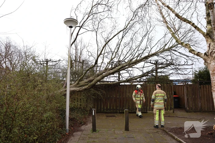 Brandweer zaagt omgevallen boom in stukken