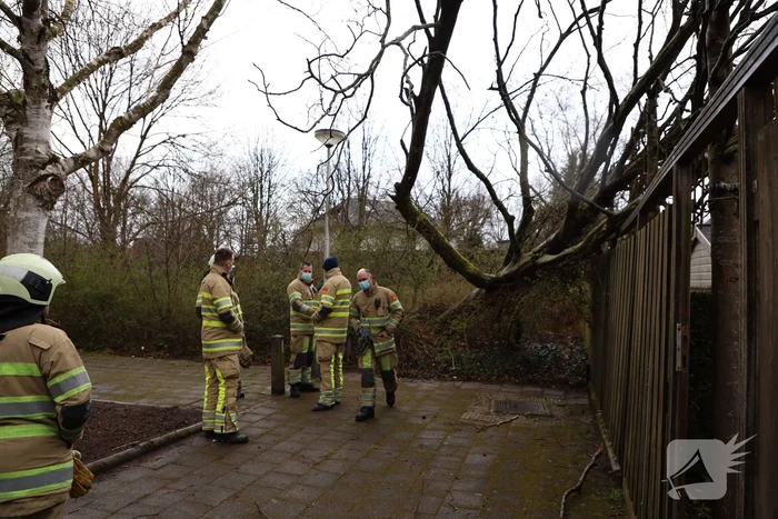 Brandweer zaagt omgevallen boom in stukken