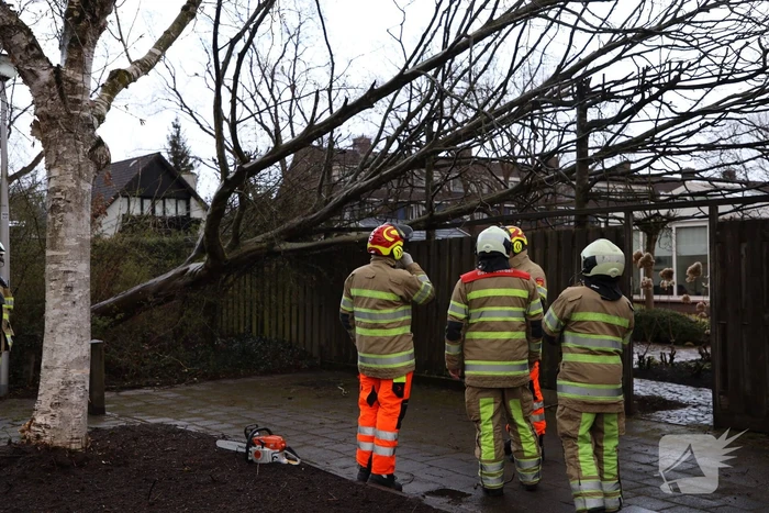 Brandweer zaagt omgevallen boom in stukken