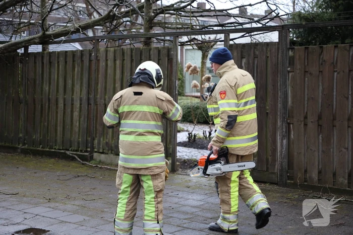 Brandweer zaagt omgevallen boom in stukken