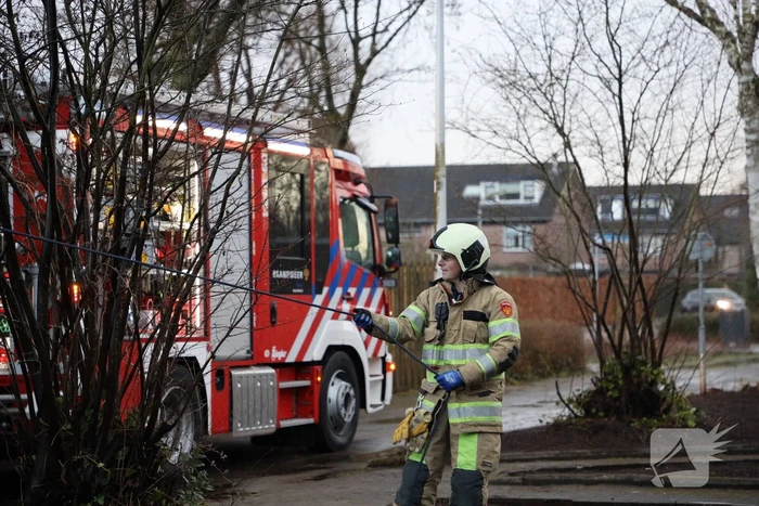 Brandweer zaagt omgevallen boom in stukken