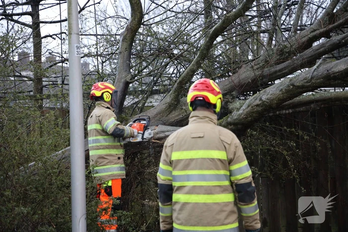 Brandweer zaagt omgevallen boom in stukken