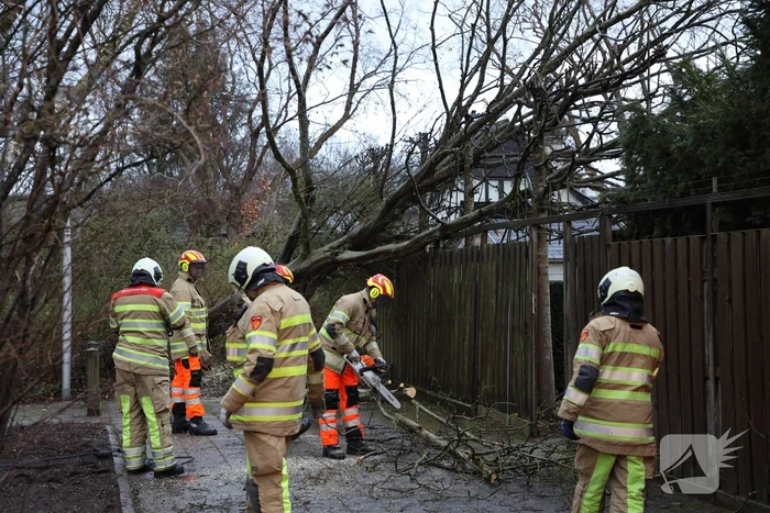 Brandweer zaagt omgevallen boom in stukken