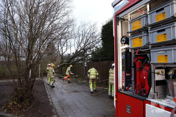 Brandweer zaagt omgevallen boom in stukken