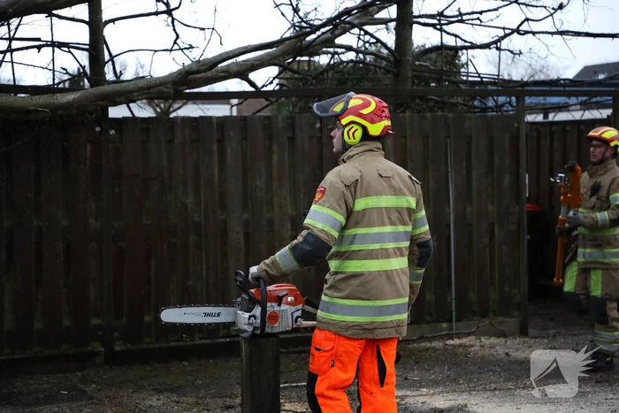 Brandweer zaagt omgevallen boom in stukken
