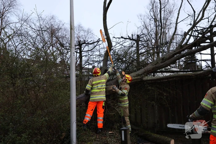 Brandweer zaagt omgevallen boom in stukken