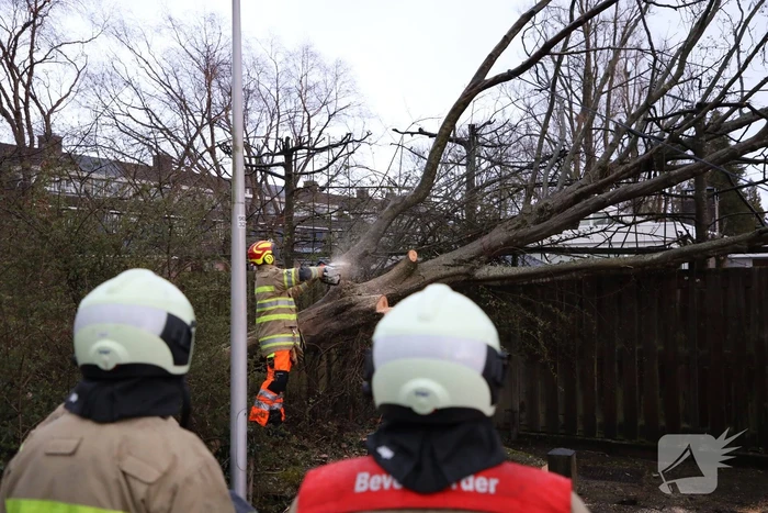 Brandweer zaagt omgevallen boom in stukken