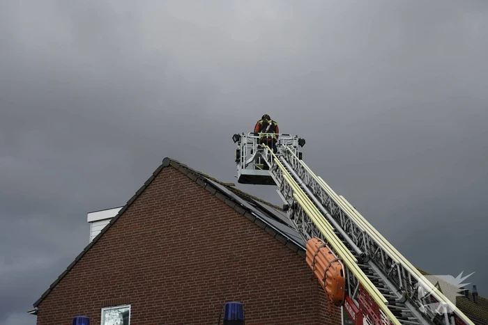 natuur christiaan de wetstraat gouda