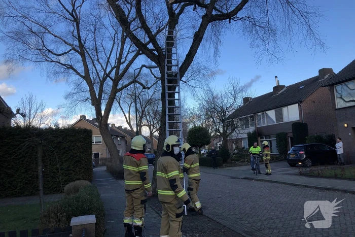Brandweer haalt hangende tak weg