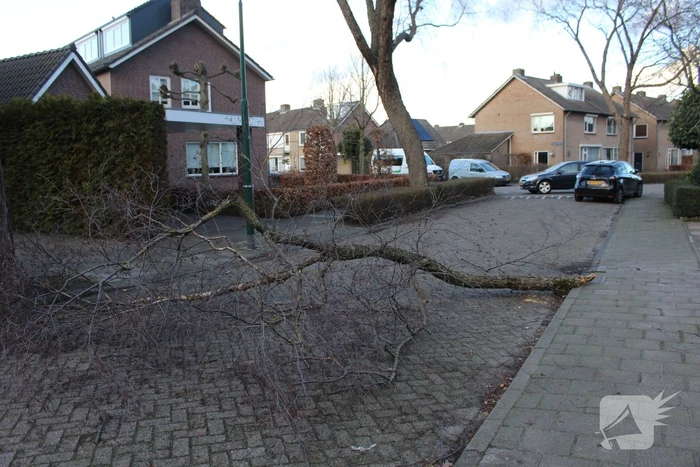 Brandweer haalt hangende tak weg