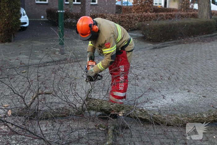 Brandweer haalt hangende tak weg