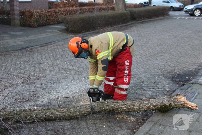 natuur margrietstraat sint-oedenrode