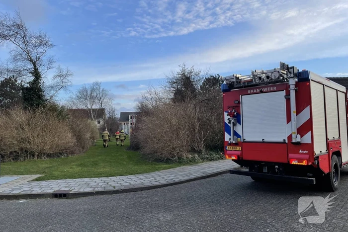 Boom dreigt om te vallen