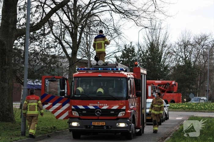 Gevaarlijk hangende tak verwijderd