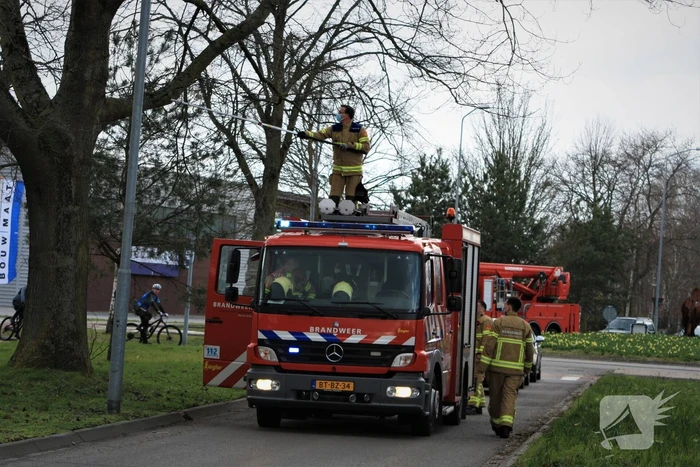 Gevaarlijk hangende tak verwijderd