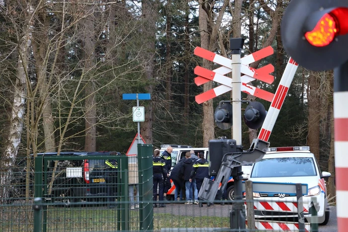 Zoekactie naar vermiste man in bosgebied Zonnegloren