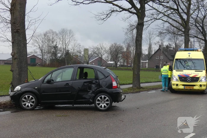 Auto botst op boom