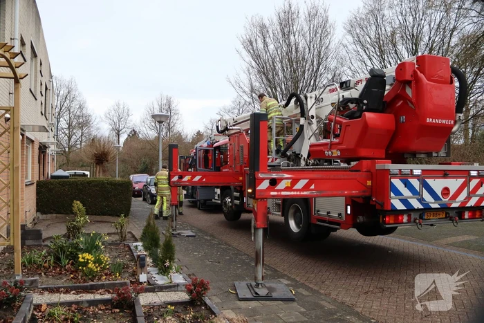 natuur rex harrisonstraat almere
