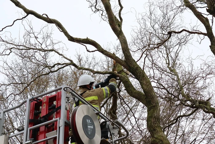 Gevaarlijk hangende tak door brandweer verwijderd