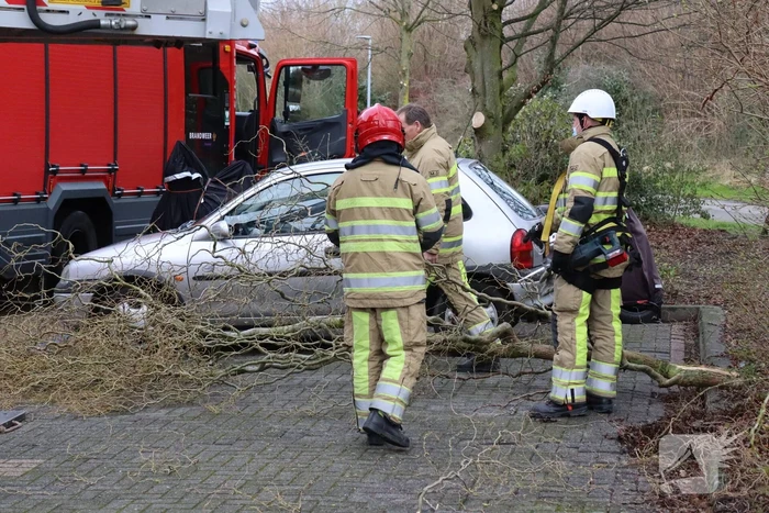 Gevaarlijk hangende tak door brandweer verwijderd