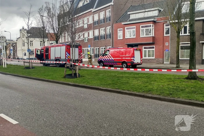 nieuws wilhelminasingel weert
