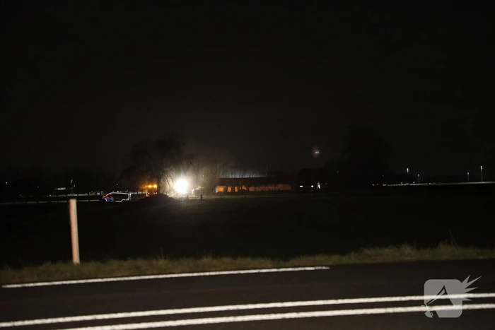 Varken omgekomen bij brand